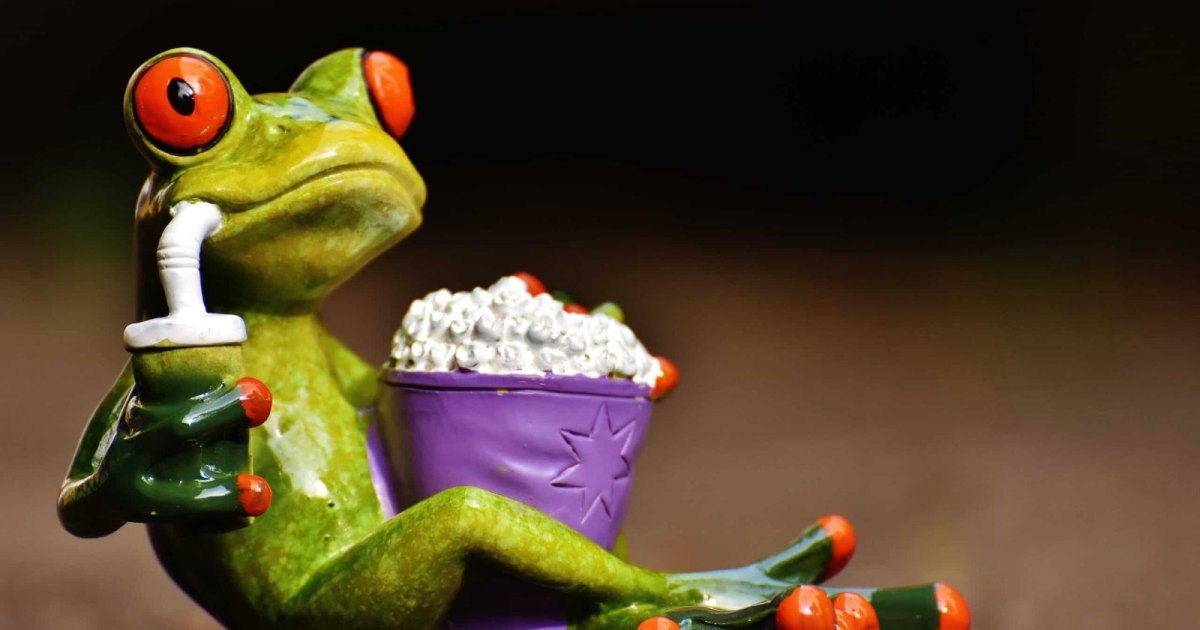 Une grenouille fascinée par l'adaptation qu'elle est venue voir !