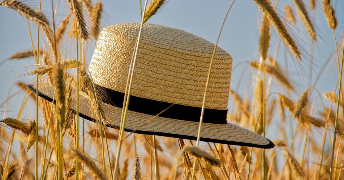 Les Éditions Vérone vous souhaitent un bel été !