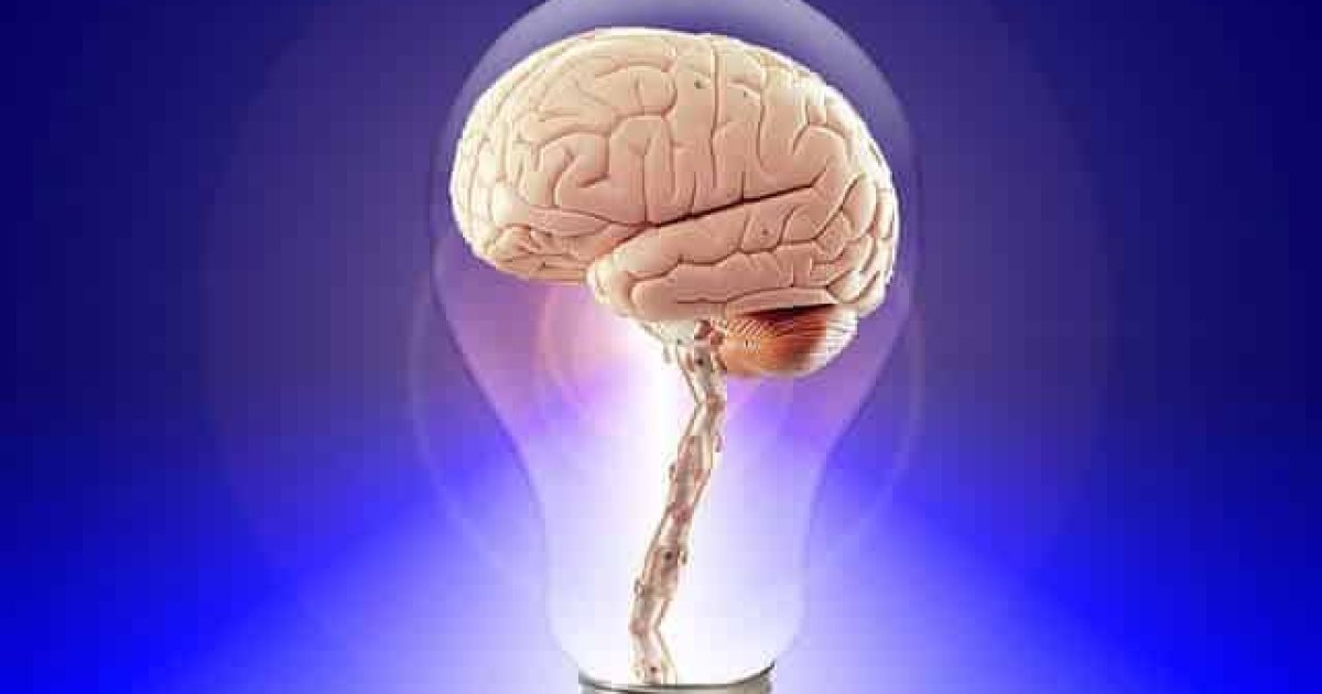 Littérature et psychologie