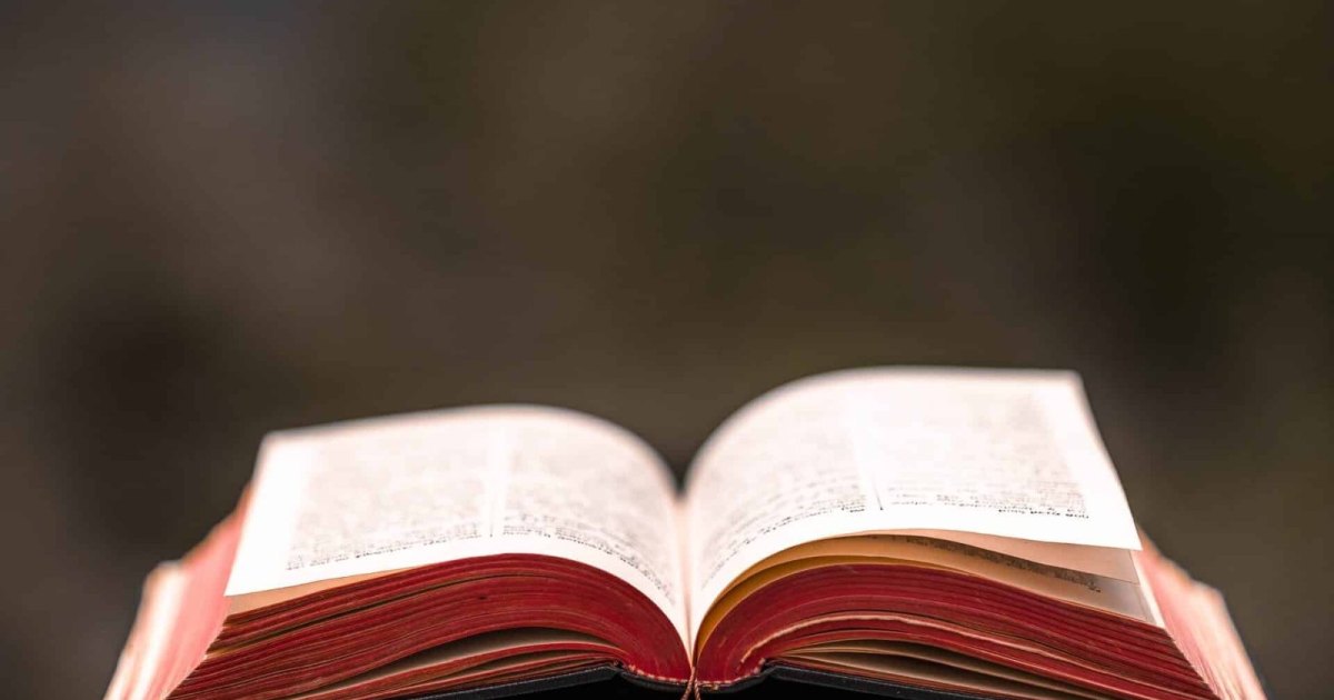 Loi Lang le prix unique du livre