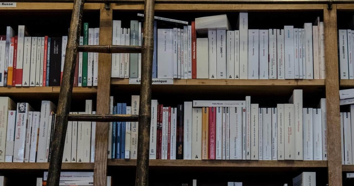 Organiser une bibliothèque à domicile : astuces pratiques !