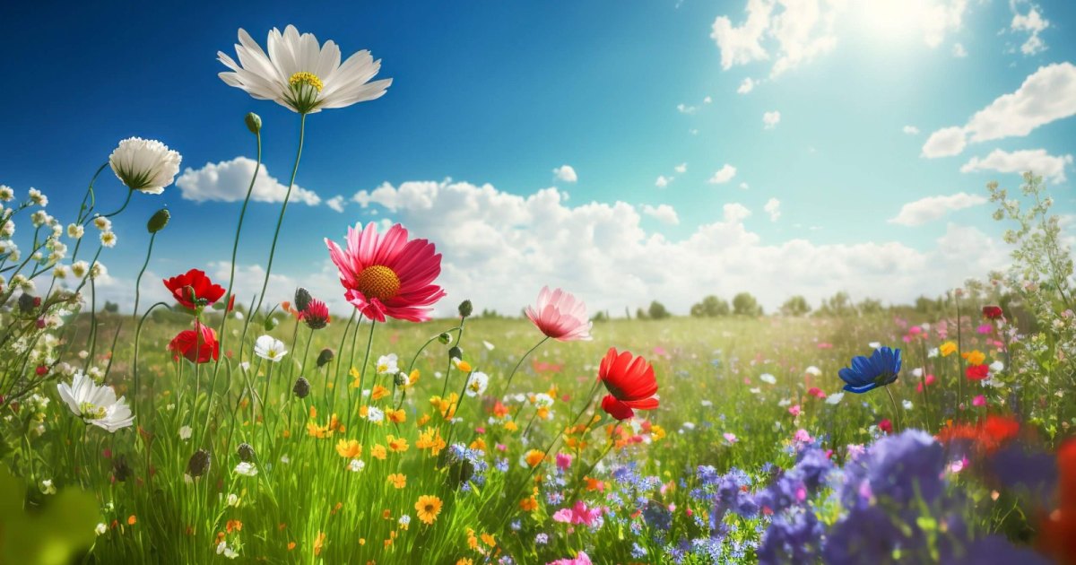 L'influence du printemps sur la créativité littéraire