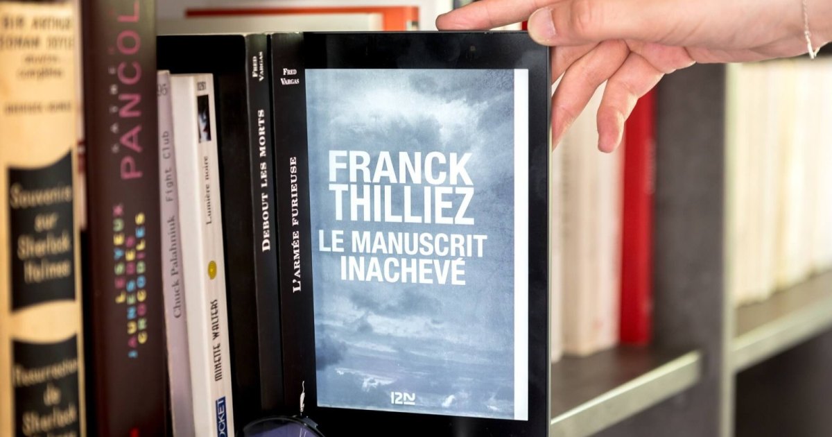 Quels sont les genres de romans policiers ?