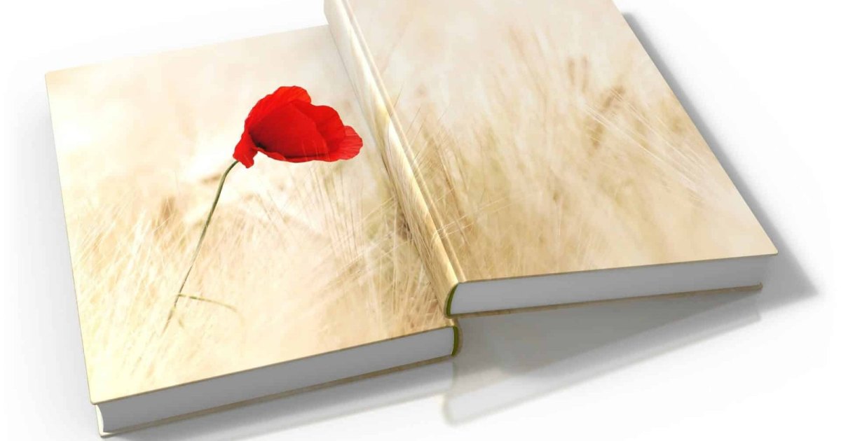5 conseils pour réussir la première de couverture d’un livre