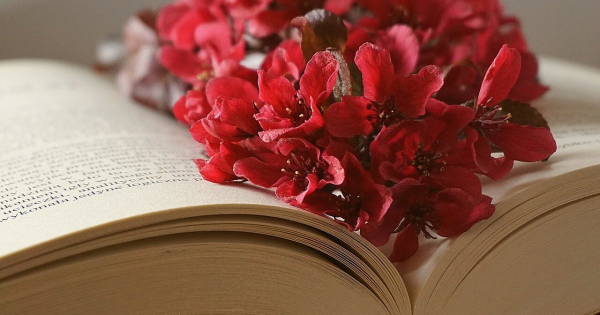 Marcher sur les traces d’un livre : voyager au cœur des récits littéraires