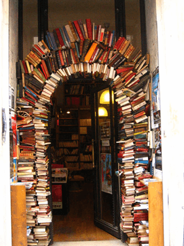 Le Bal des Ardents - Lyon