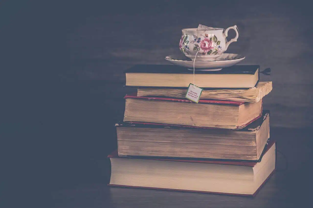 La pile à lire de Maria