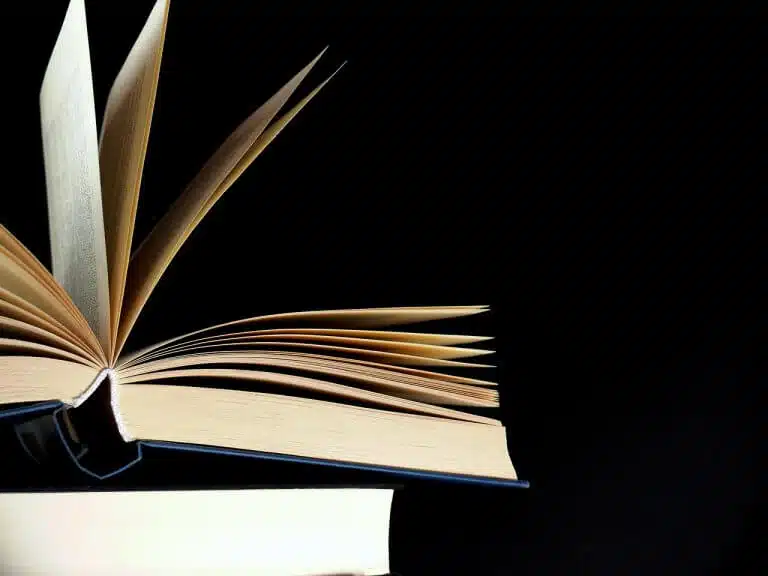 Des librairies physiques aux librairies en ligne