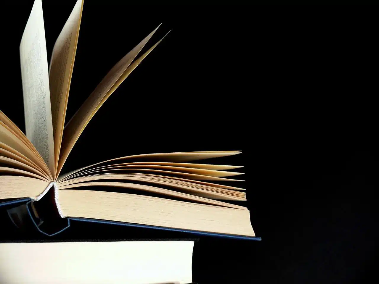 Des librairies physiques aux librairies en ligne