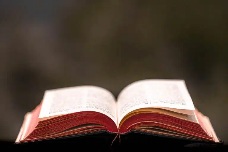Loi Lang le prix unique du livre