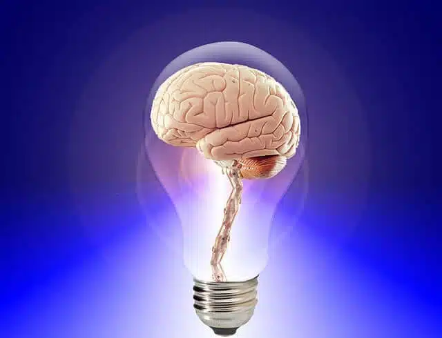 Littérature et psychologie