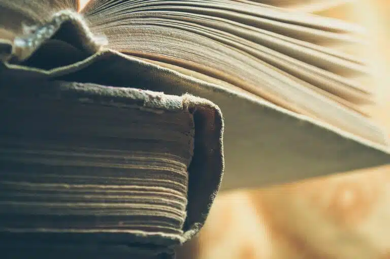 La représentation des genres et des minorités dans la littérature