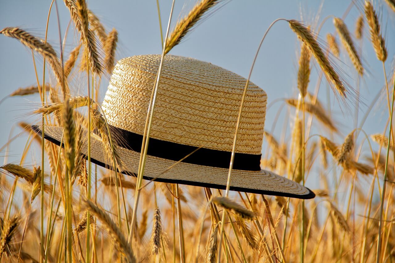 Les Éditions Vérone vous souhaitent un bel été !