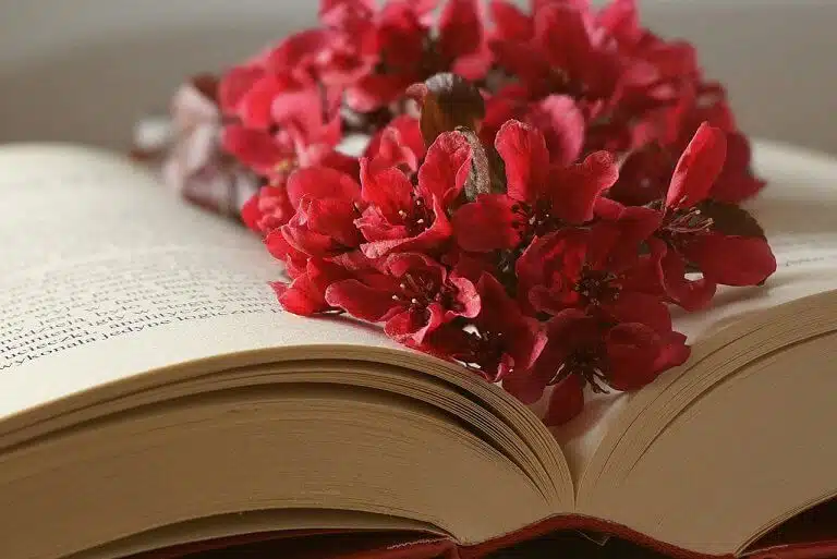 Marcher sur les traces d’un livre : voyager au cœur des récits littéraires